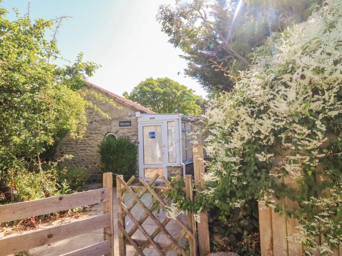 Mimosa Cottage Swyre Exterior photo